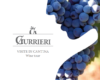 Wine Tour in Cantine Guerrieri